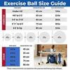 Picture of URBNFit Exercise Ball (65 cm) for Stability & Yoga