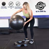 Picture of DYNAPRO Exercise Ball - 2,000 lbs Stability Ball