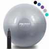 Picture of SmarterLife PRO MAX Exercise Ball - Professional Grade