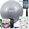 Picture of SmarterLife PRO MAX Exercise Ball - Professional Grade