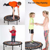 Picture of FIT BOUNCE PRO II Bungee Rebounder