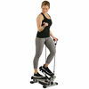 Picture of Sunny Health & Fitness Twist Stepper - NO. 045