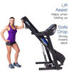 Picture of XTERRA Fitness TR300 Folding Treadmill