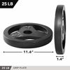 Picture of Day 1 Fitness Cast Iron Olympic 2-Inch Grip Plate for Barbell, 35 Pound Set of 2 Plates Iron Grip Plates for Weightlifting, Crossfit - 2” Weight Plate for Bodybuilding