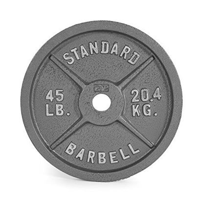 Picture of CAP Barbell 45 lb Gray Olympic Weight Plate, Single