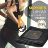 Picture of Perfotek Waist Trimmer Belt, Sweat Wrap, Tummy Toner, Low Back and Lumbar Support with Sauna Suit Effect, Best Abdominal Trainer (Trimmer Belt - Black)